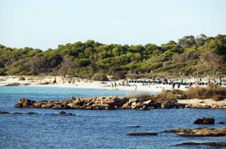 Cabrera Island - Es Carbó (11 NM)