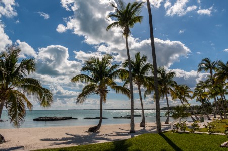 Tahití beach - Marsh Harbour ( 9 mn )