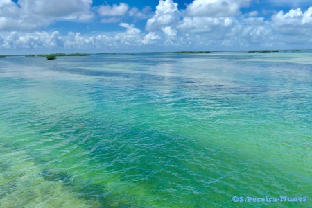 Trinidad - Cayo Blanco de Casilda (7 mn)