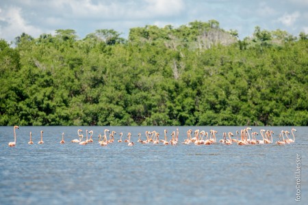 Cayo Blanco de Casilda - Cayos Machos de Afuera (7 mn)